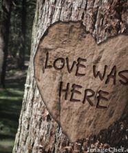 Love Was Here